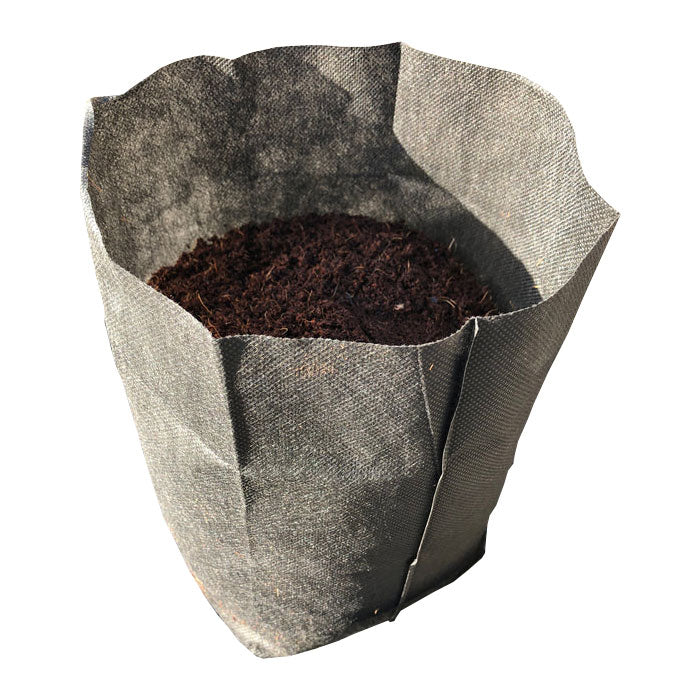 The Coco Depot GroEzy Non Woven Fabric Grow Bag, 1 Gallon - Pack of 1000