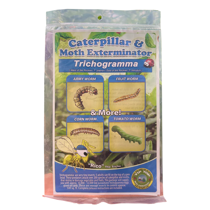 Tip Top Bio-Control Platneri/Minutum, Brassicae & Pretiosum Trichogramma Mix For Caterpillar & Moth Control, Hanging Card of 10,000