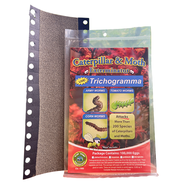 Tip Top Bio-Control Trichogramma Platneri/Minutum For Caterpillar & Moth Control, Hanging Card of 10,000