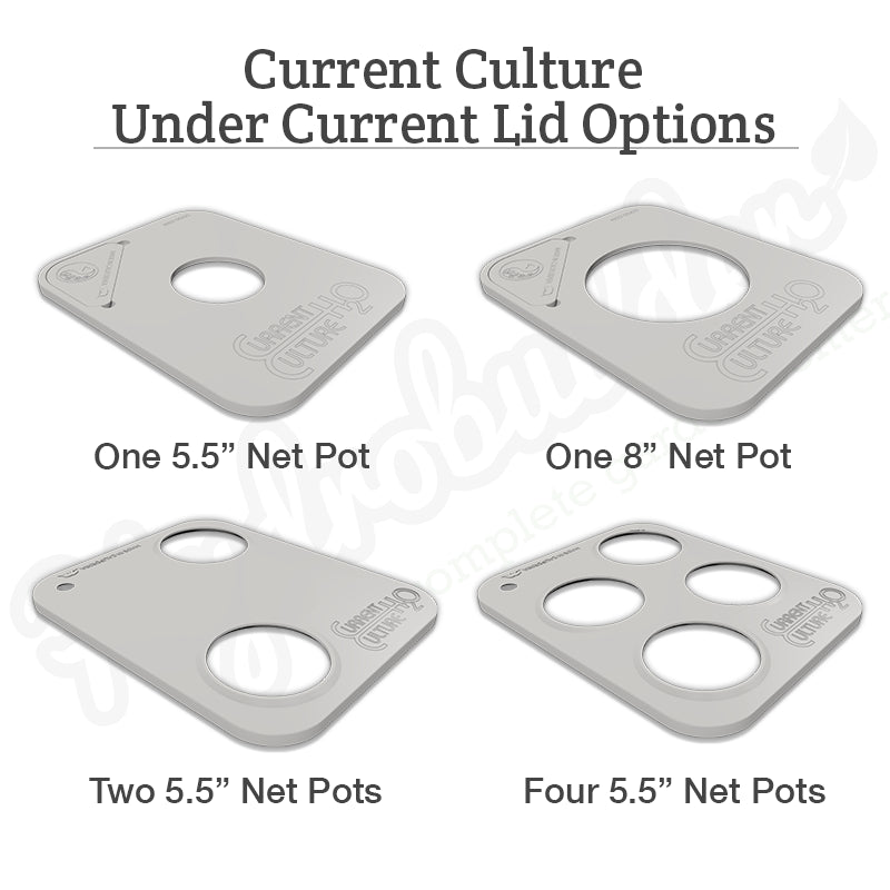 Current Culture 2-Site Multi-Mod Expansion Kit for Under Current