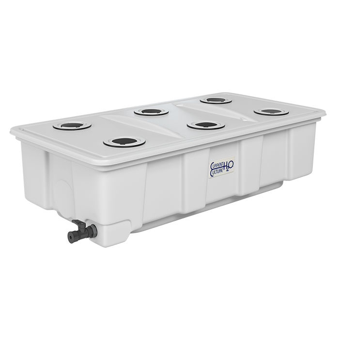 Current Culture Under Current Solo Commercial DWC System, 35 Gallons -  (Includes 6 x 5.5" Net Pots, Net Pot Inserts, 3.75" Collars)