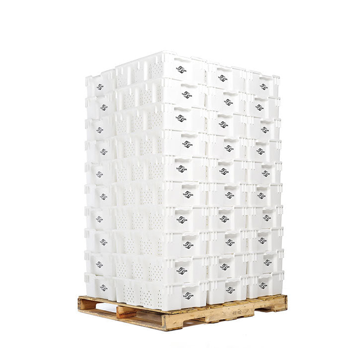 Twister Stackable Freezing / Handling Trays - Pack of 100