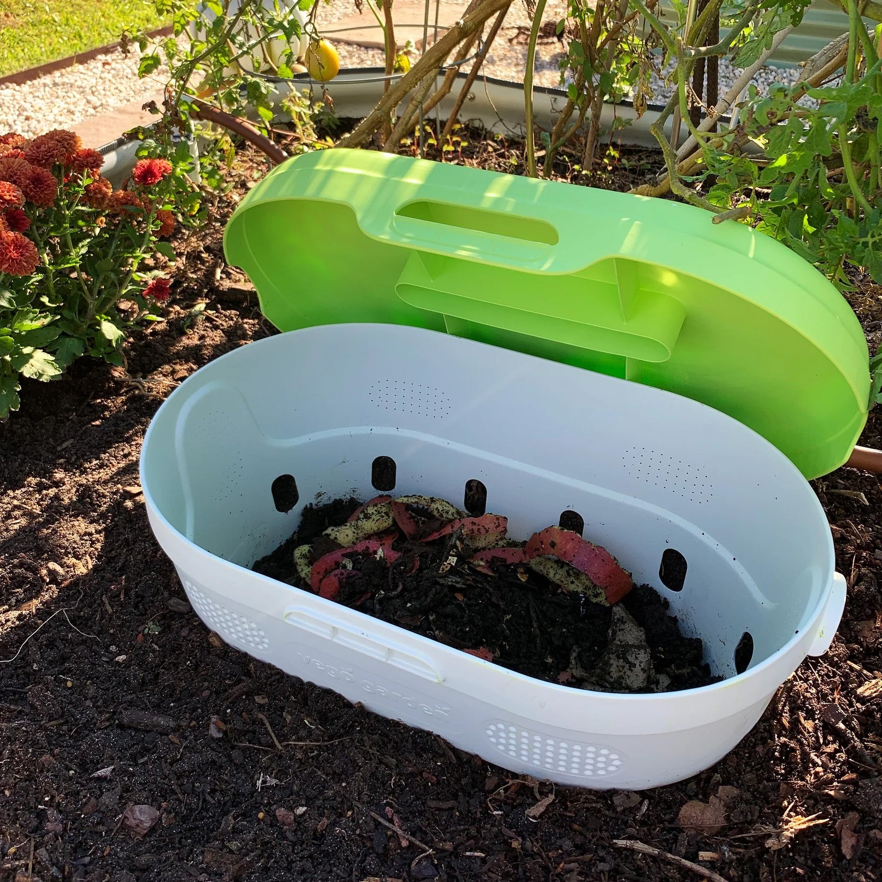 Vego Garden In-Ground Worm Composter