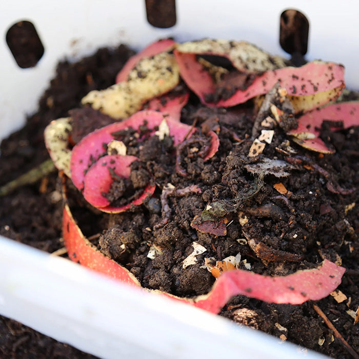 Vego Garden In-Ground Worm Composter - Pack of 2