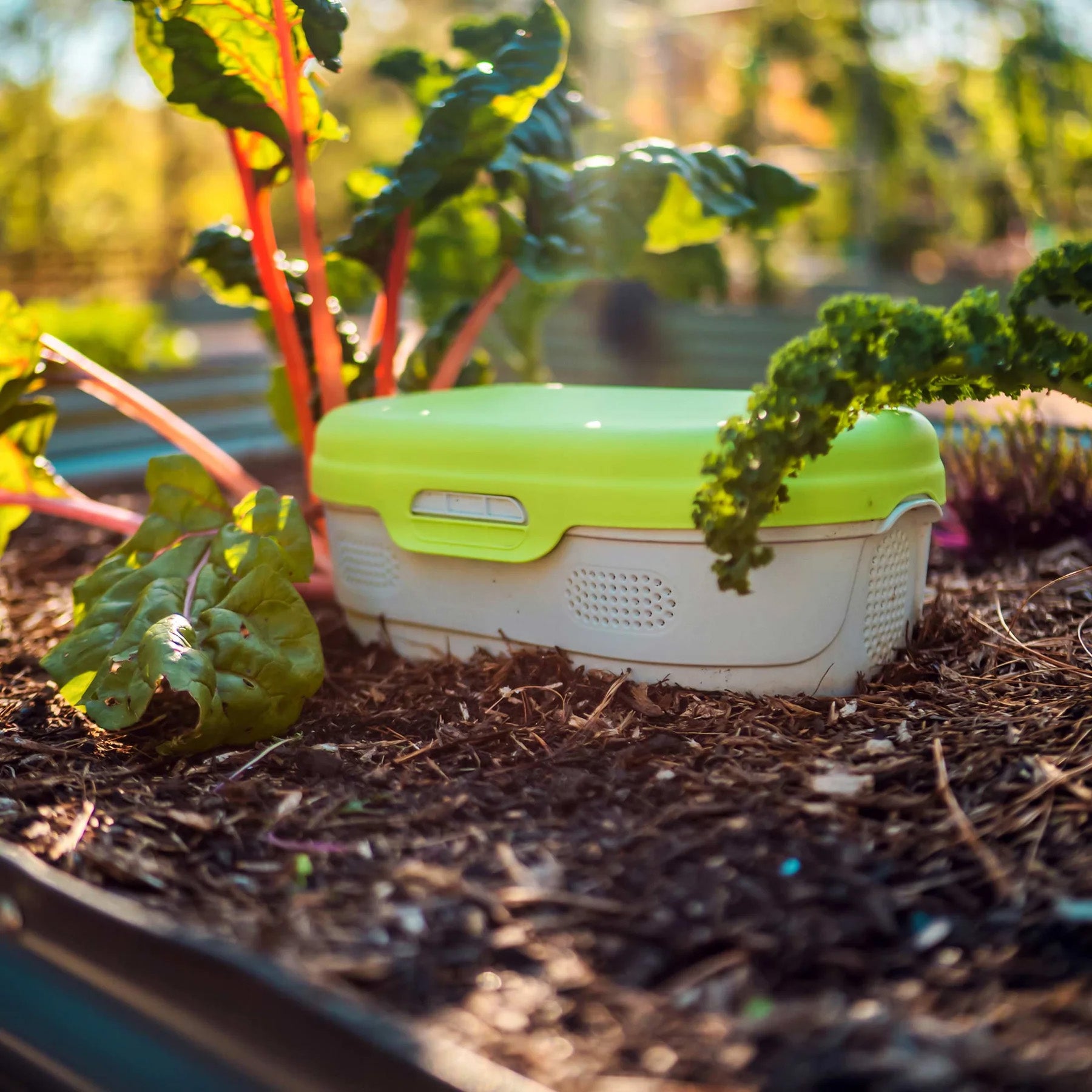Vego Garden In-Ground Worm Composter