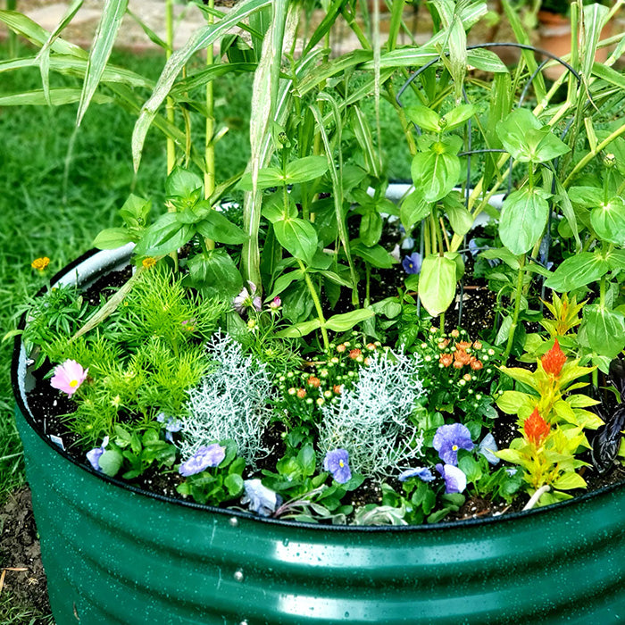 Vego Garden 17 Inch Tall 42 Wide Round Metal Raised Garden Bed