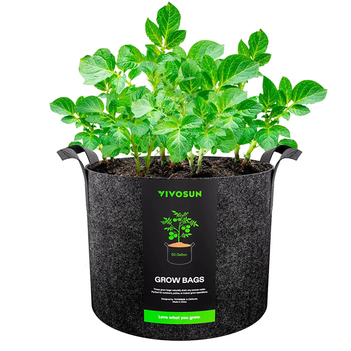 Vivosun Thick Nonwoven Fabric Pot with Handles, 50 Gallon